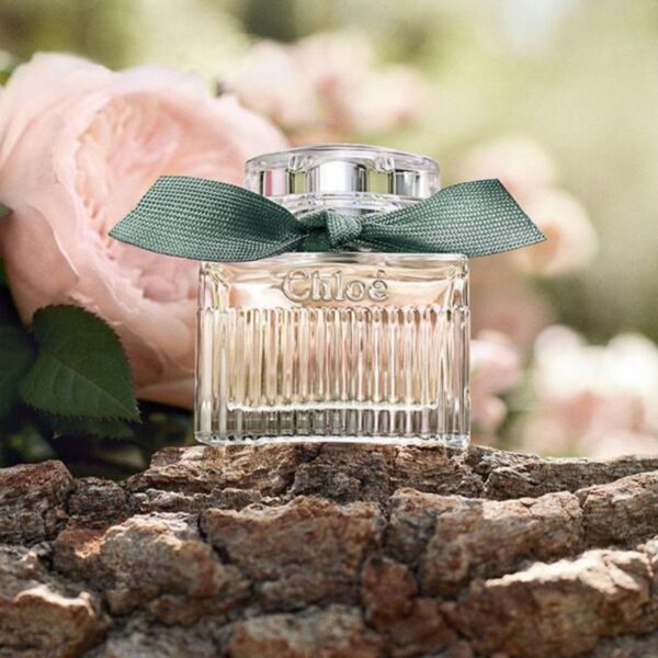 Chloe Discovery Collection Gift Set #A - Image 3