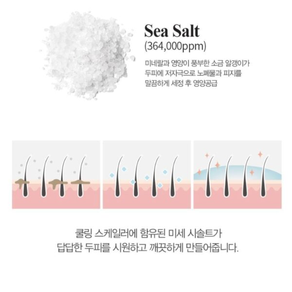 DALEAF Better Root Cooling Scaler 250g+100g Special Set - Image 4