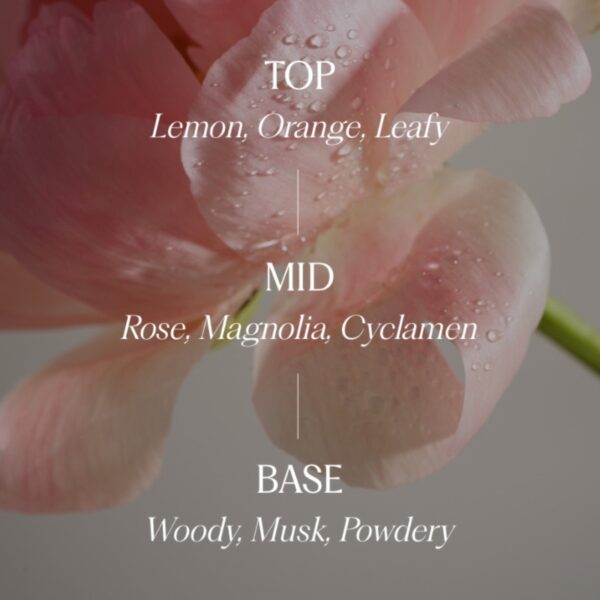 Skin U Fragrance Hand Cream [#Eau de Floral] - Image 4