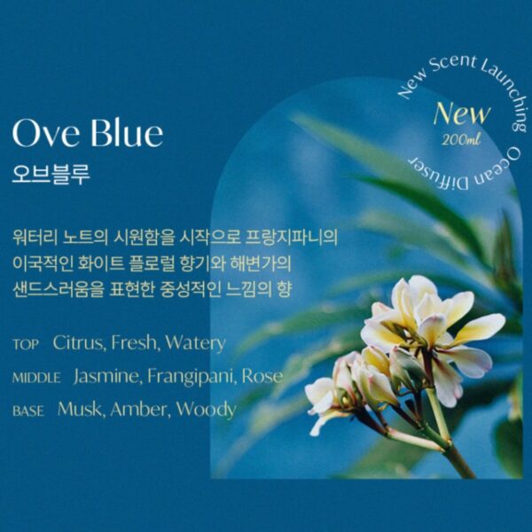Cocodor Signature Reed Diffuser [#Ove Blue] - Image 3