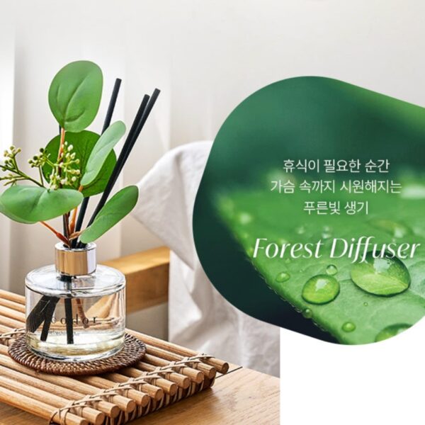 Cocodor Forest DIFFUSER [Black Cherry] - Image 3