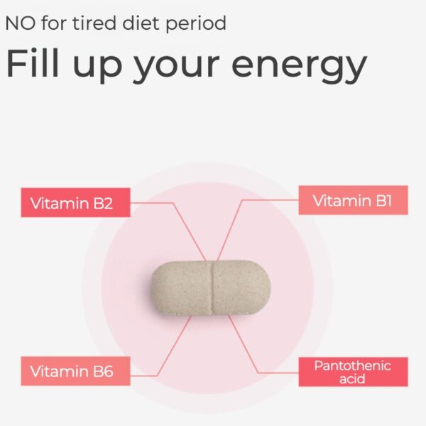 grn+ Pink Slim Balance & Biotin 90+15 Tablets (+Belly Gom Hair Roll) - Image 4