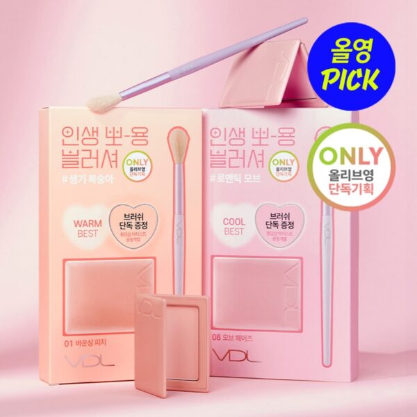 VDL Cheekstain Blusher Brush Set [#2 Colors]