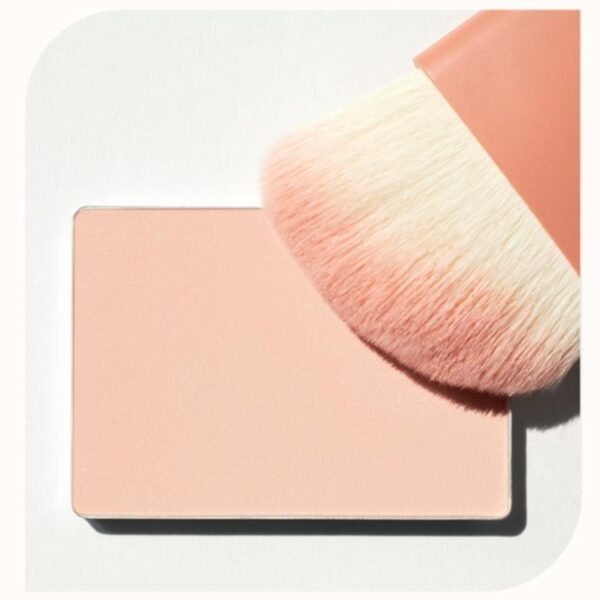 VDL Cheekstain Blusher Brush Set [#2 Colors] - Image 4