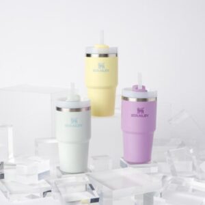 Stanley Quencher H2.0 FlowState Tumbler 591ml [#2 Colors]