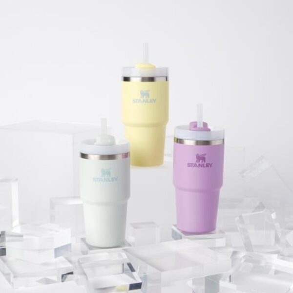 Stanley Quencher H2.0 FlowState Tumbler 591ml [#2 Colors]