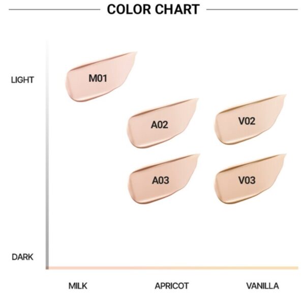 VDL Cover Stain Perfecting Cushion Set [#2 Colors] (+Refill) - Image 5