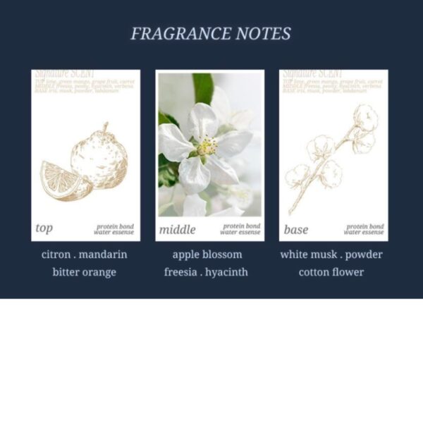 NEW💖 HAIR+ Protein Bond Water Essence 200ml+50ml set - Image 5