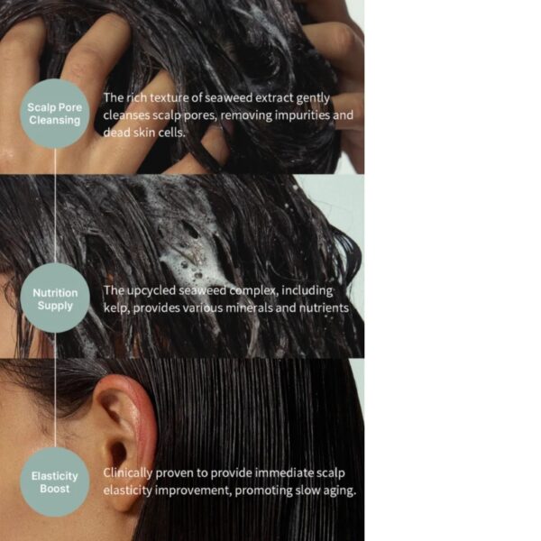 GROWUS Algae Therapy Mineral Shampoo 500ml (+53g) - Image 4