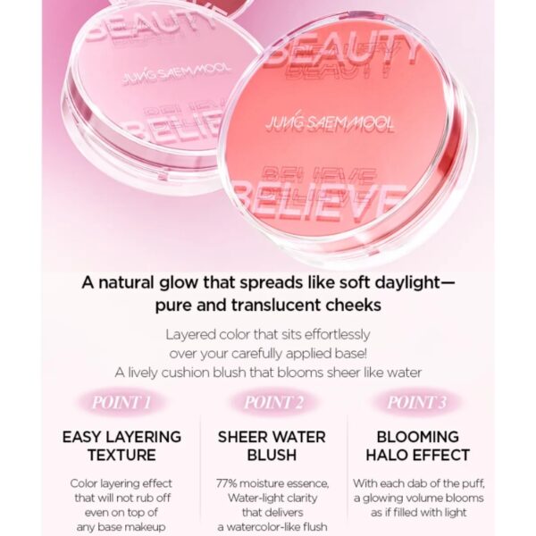 Jung saem mool Artist Cushion Blush [#4 Type] - Image 2