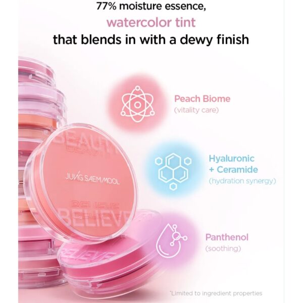Jung saem mool Artist Cushion Blush [#4 Type] - Image 3