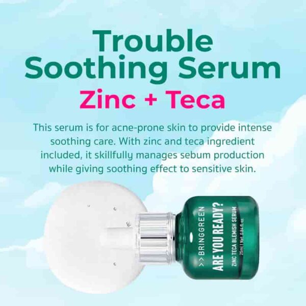BRINGGREEN Zinc Teca Blemish Serum 25ml Set (+Refill 25ml+A Set of Jackstones) - Image 4