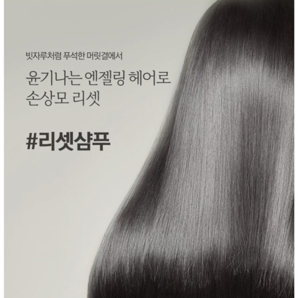 Nard Damage Repairing Treatment 500ml (+100ml) - Image 4