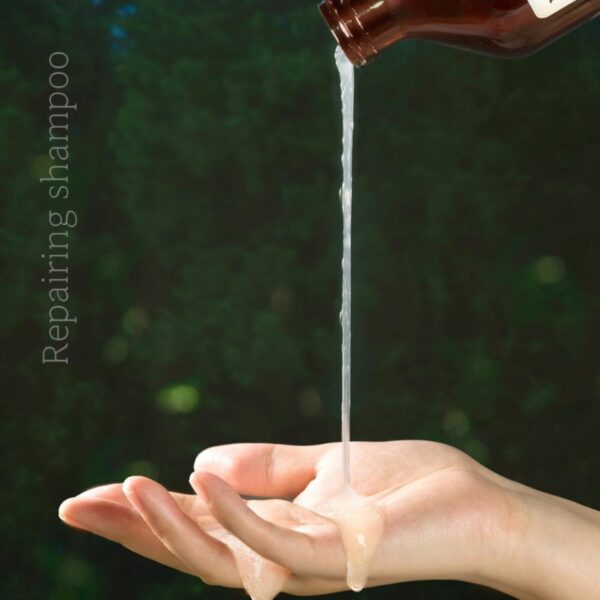 Nard Damage Repairing Treatment 500ml (+100ml) - Image 3