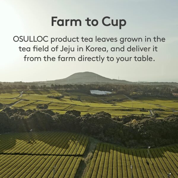 OSULLOC Rooibos Tea Stick (20 count) - Image 6