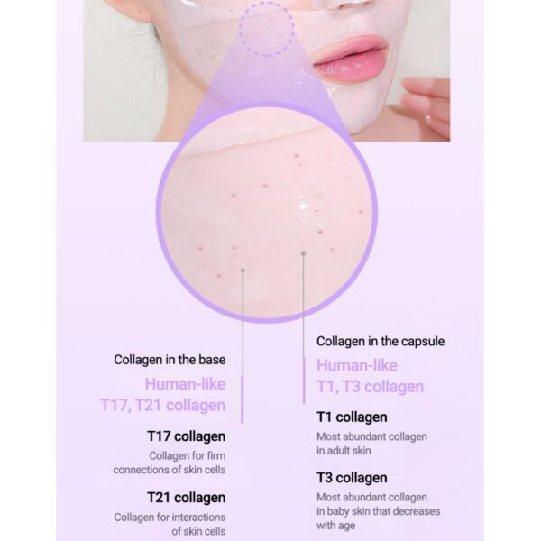 BIOHEAL BOH Probioderm Collagen Remodeling Serum Gel Mask Sheet - Image 5