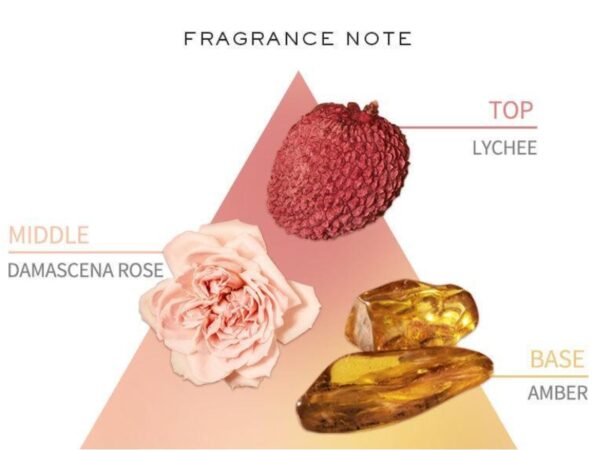 NEW💖 Chloe Discovery Collection Gift Set #B - Image 5