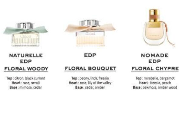 NEW💖 Chloe Discovery Collection Gift Set #B - Image 3