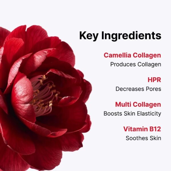 ROUND LAB Camellia Deep Collagen Firming Gel Mask [#4 Sheet] - Image 3