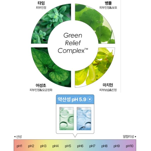 SNP Skin Return Essence Mask [#10 masks] 2 Type - Image 6