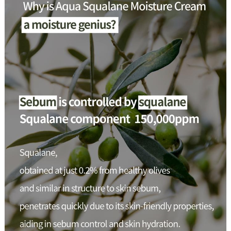 S.NATURE Aqua Squalane Moisturizing Cream 60ml Double Pack (+Aqua Gel Mask Sheet 1ea) - Image 7