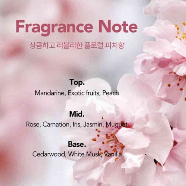 CURLYSHYLL Silky Oil Serum Special Set (Shampoo 50mL+Mask 30mL+Pouch) - Image 5