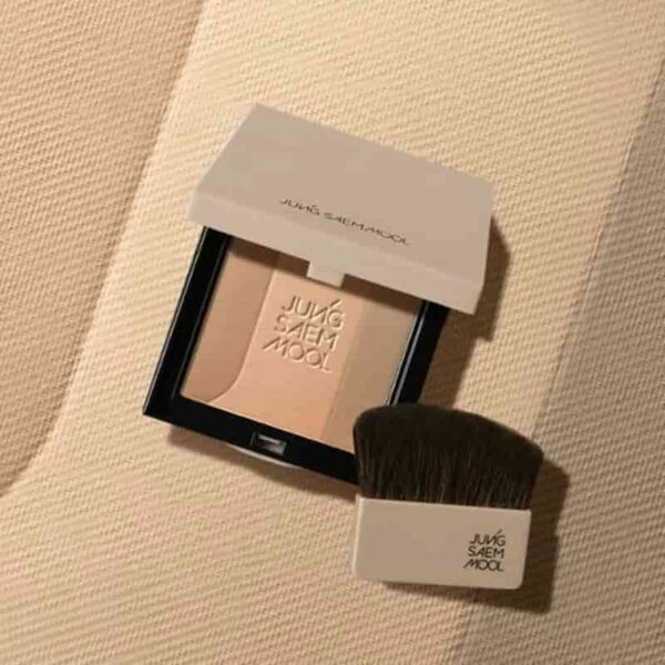 JUNGSAEMMOOL Skin Nuder Shading Pact - Image 2