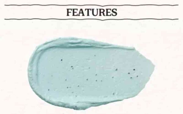 Skinfood Food Mask #Mint Choco - Image 3