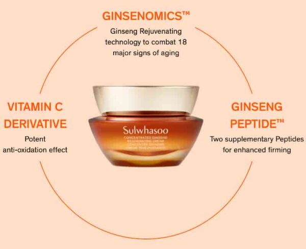 SULWHASOO Concentrated Ginseng Cream Gift Set - Image 2