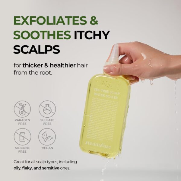 STEAMBASE Tea Tree Scalp Water Scaler - Image 3