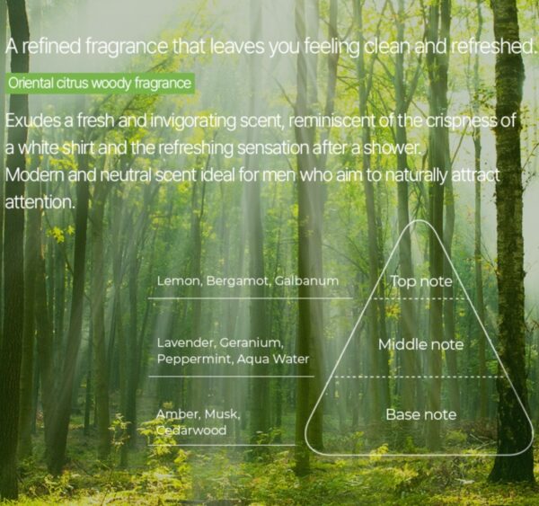 THE SAEM Eco Energy All In One [#2 Type] - Image 8