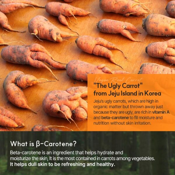 VPROVE Real Carrot Cream - Image 3