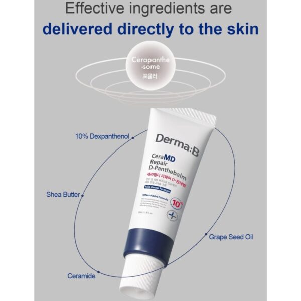 Derma B CeraMD Repair D-Panthebalm - Image 4