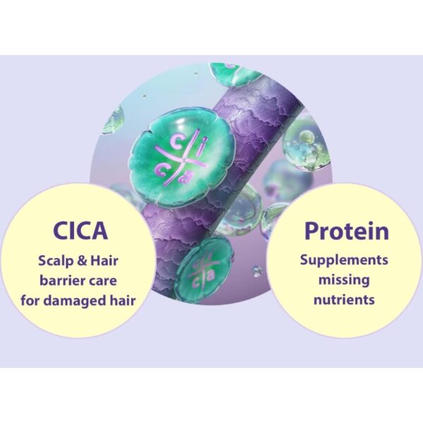 Mise-en-scene Salon 10 Professional Cica Protein Shampoo 480ml - Image 4