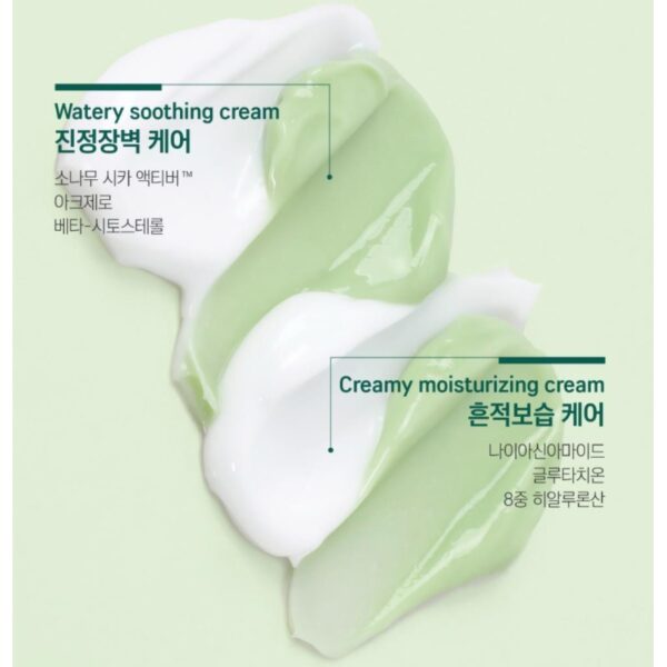 ROUND LAB Pine Calming Cica Cream Plus 60ml Set (+Toner 20ml) - Image 4
