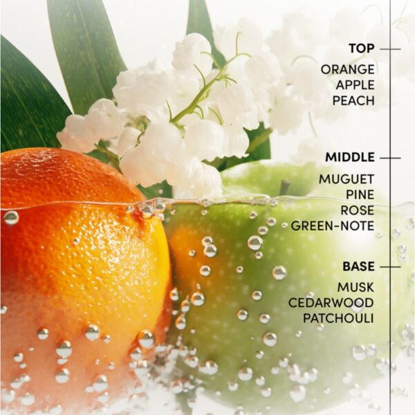 LABO-H Hair Stengthening Treatment 200ml (+100ml) - Image 4