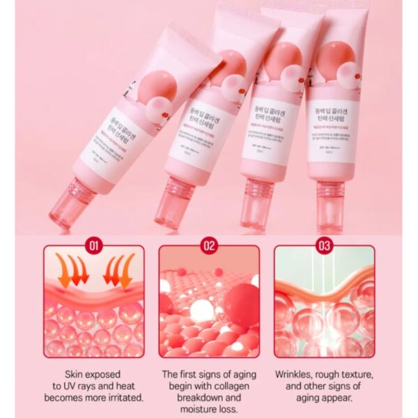 ROUND LAB Camellia Deep Collagen Firming Sun Serum 50ml Set (+7ml) - Image 4