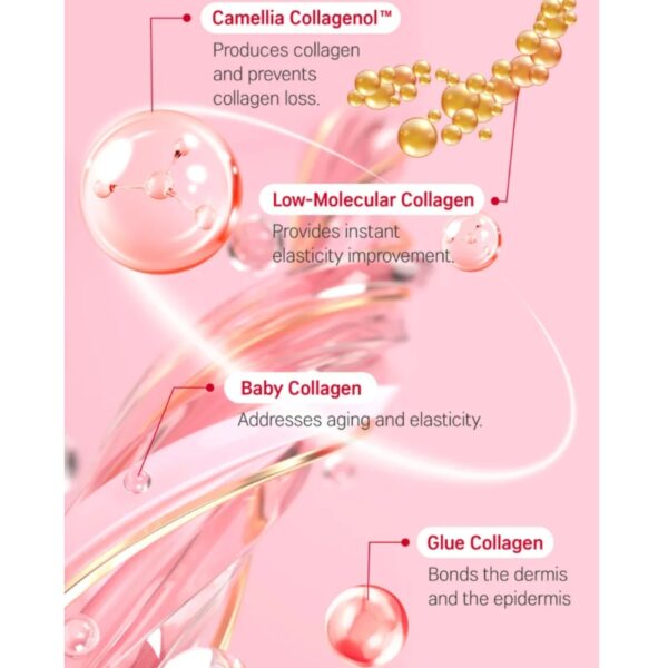 ROUND LAB Camellia Deep Collagen Firming Sun Serum 50ml Set (+7ml) - Image 5