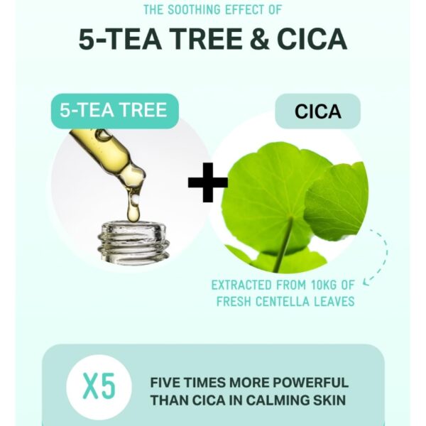 BRINGGREEN Tea Tree Cica Soothing Cream Plus 200ml Set (+ 20ml+Zinc Teca Blemish Serum) - Image 5