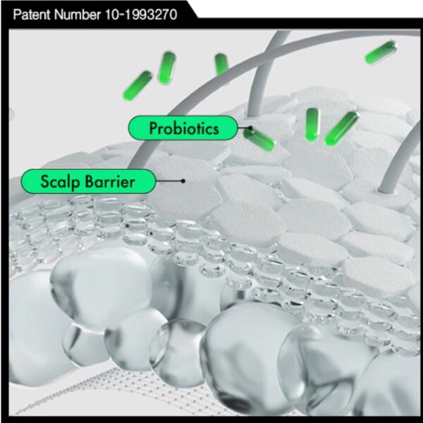 LABO-H Scalp Strengthening Scalp Scaler for Hair Loss Relief Set (+30g) - Image 4