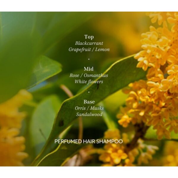 La’dor Perfumed Hair Shampoo 530ml #Osmanthus Set (+100ml) - Image 6