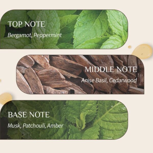 OBge Basic Grooming Tonic - Image 3