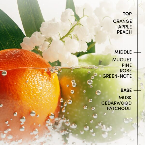 LABO-H Hair Stengthening Essence - Image 3
