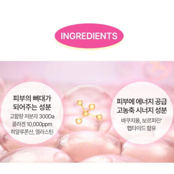 Cleaderm Small molecule Collagen Wrinkle Ampoule - Image 4