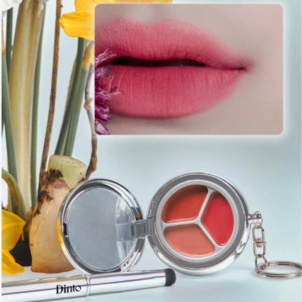 Dinto Blurring & Glowing Time To kiss & Blush (+Lip Brush) - Image 6