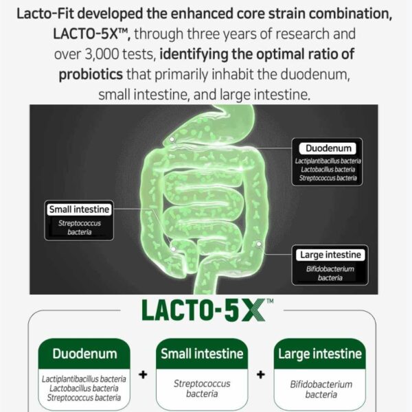 LACTO-FIT Blood Sugar Care [#60 Sticks] - Image 6